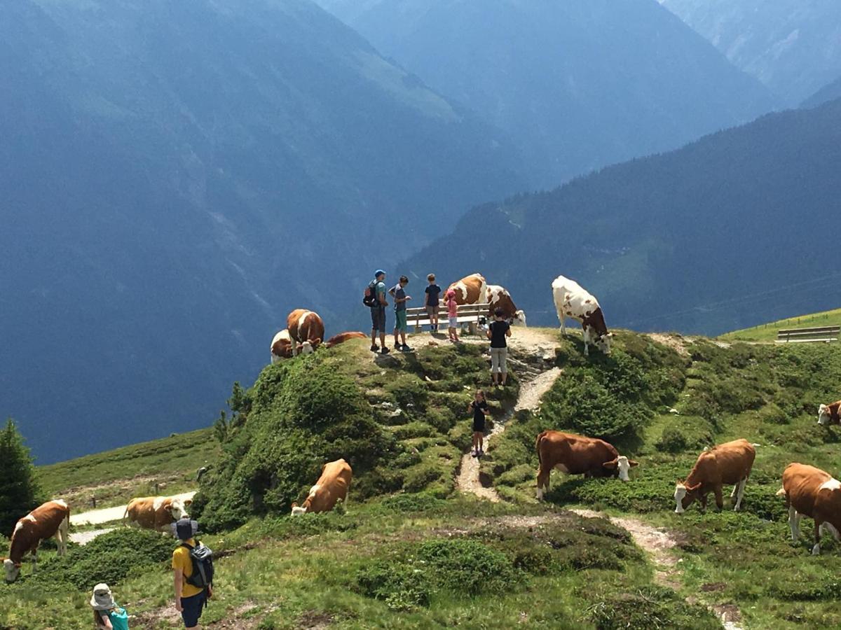 Landhaus Zillertal Ramsau im Zillertal Εξωτερικό φωτογραφία