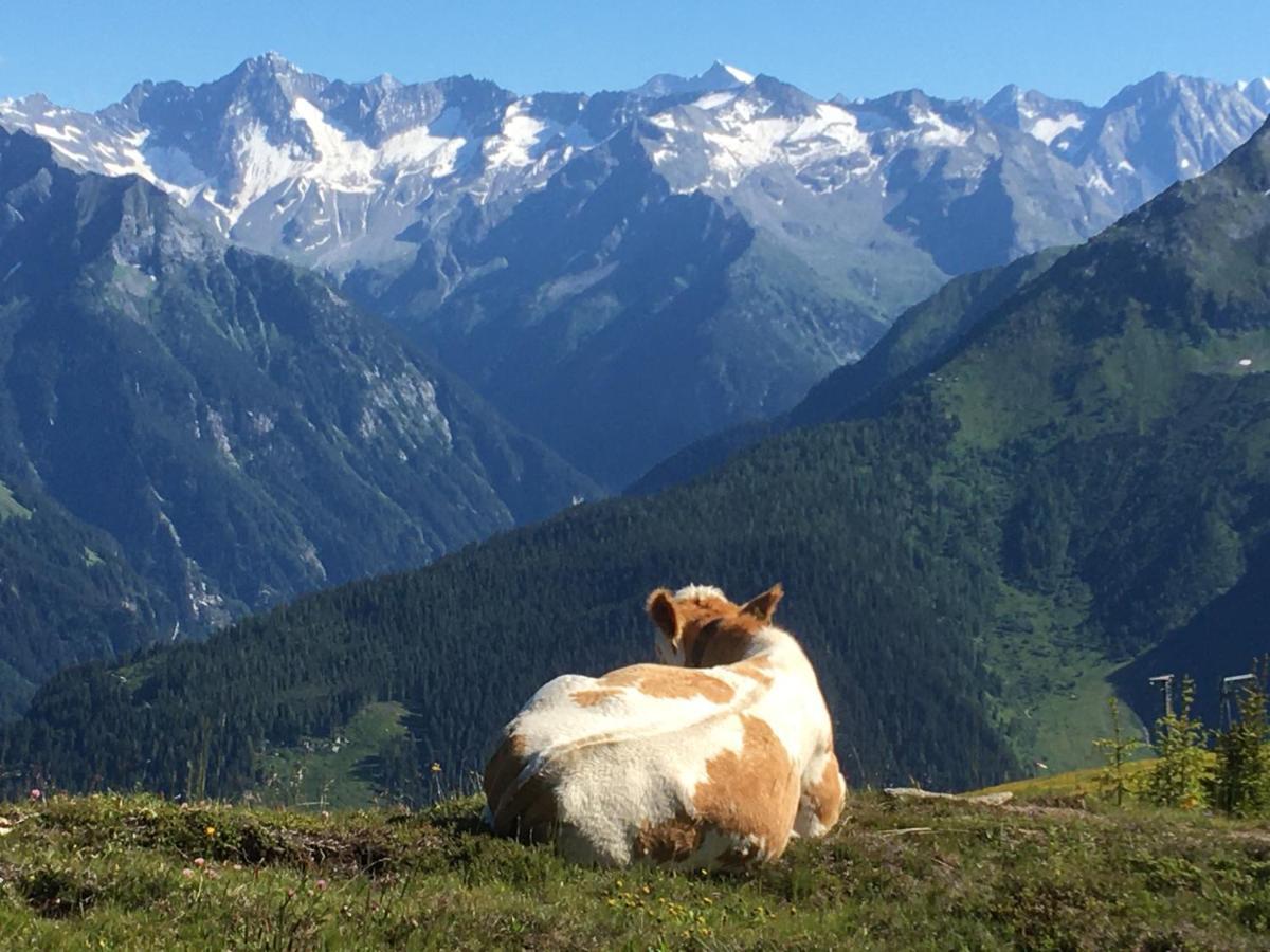 Landhaus Zillertal Ramsau im Zillertal Εξωτερικό φωτογραφία