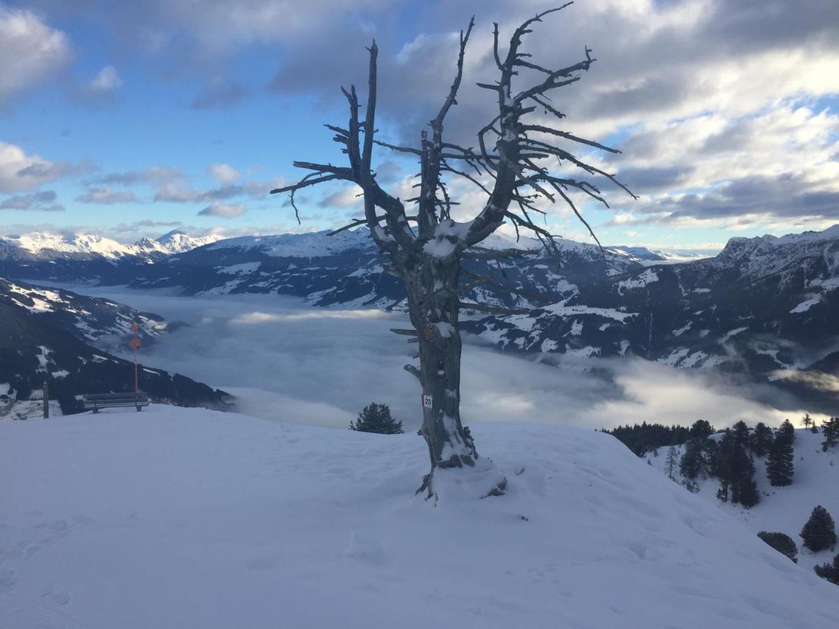 Landhaus Zillertal Ramsau im Zillertal Εξωτερικό φωτογραφία